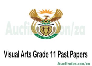 Visual Arts Grade 10 Past Exam Papers and Memos pdf download