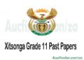 Xitsonga Grade 10 Past Exam Papers and Memos pdf download