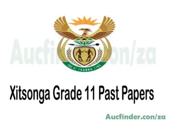 Xitsonga Grade 10 Past Exam Papers and Memos pdf download