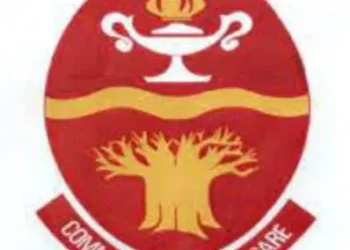 Limpopo College Of Nursing