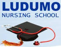 Ludumo Nursing School